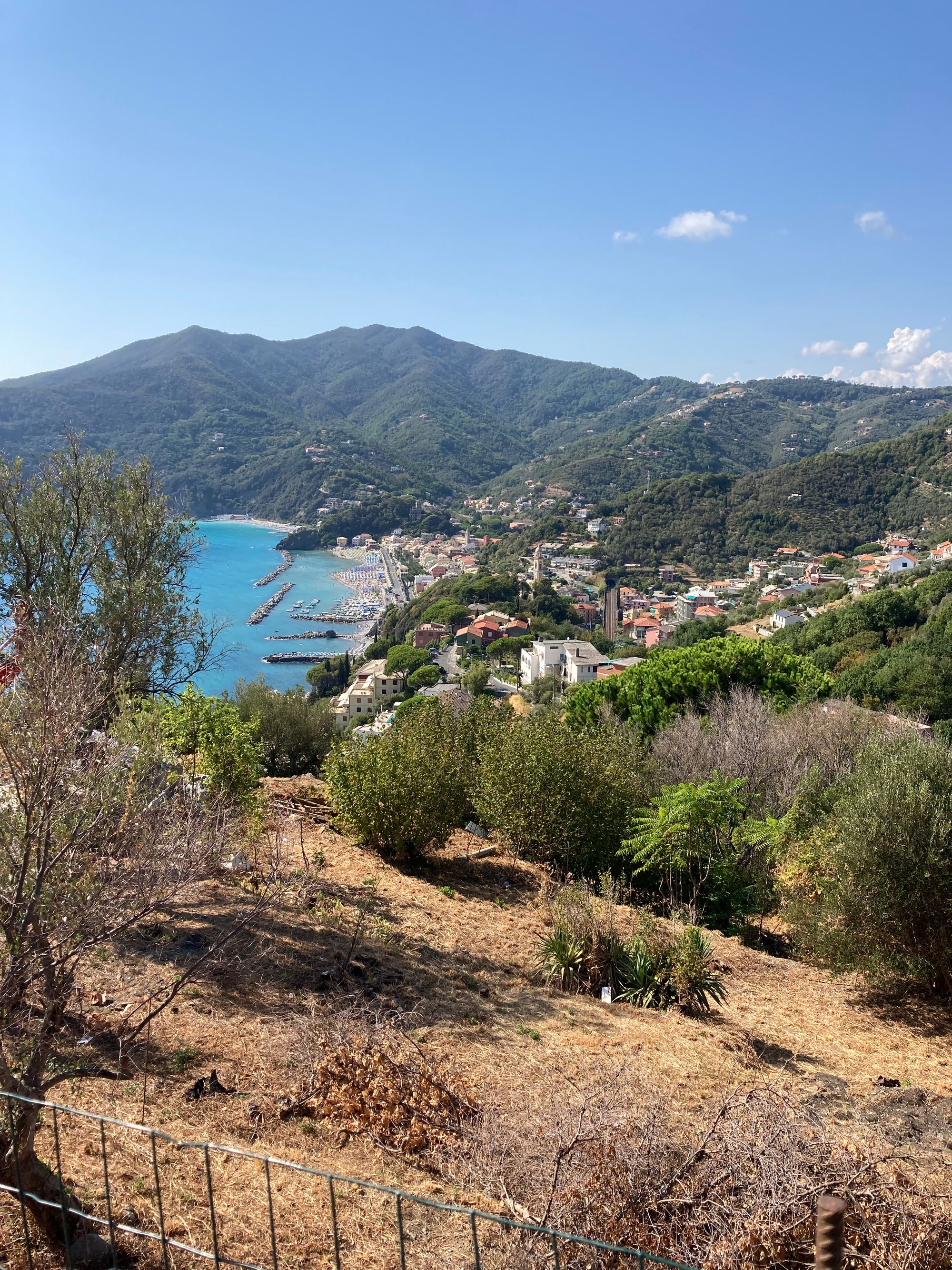 Image of Moneglia taken from a hill. You can see the ocean, the beach and the houses of the town